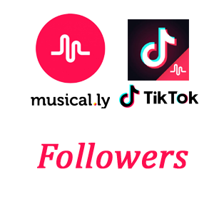 Tiktok And Musically Logo